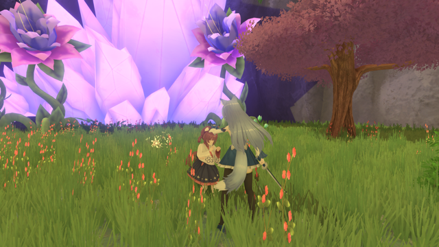 nezori screenshots_1