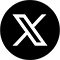 X icon